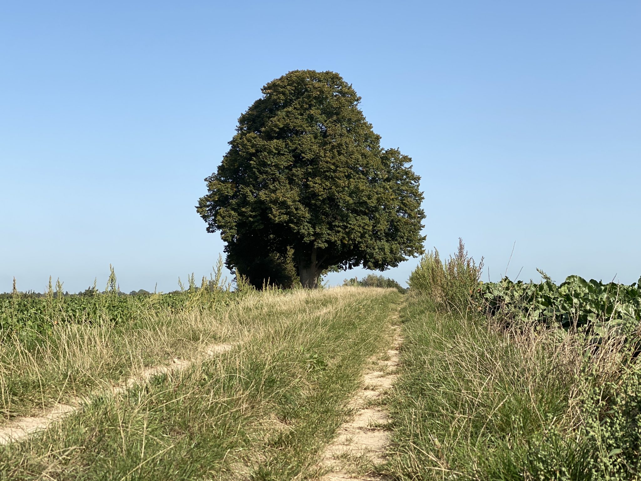 Herfst! De start van een nieuw podcastseizoen
